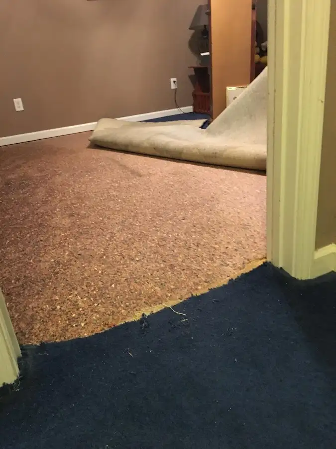 Carpet pad removal revealing water damage during Drying & Dehumidification in St. Johnsbury